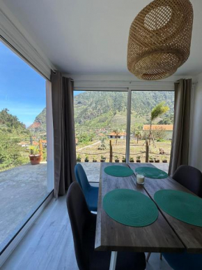 The Green Valley House